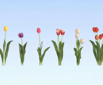 Modern Flowers And Grass-ID:227150995
