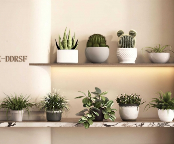 Modern Potted Green Plant-ID:974380029