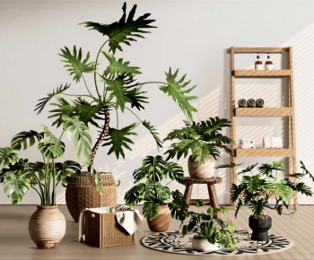 Modern Potted Green Plant-ID:200944904