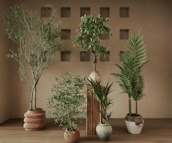 Wabi-sabi Style Ground Green Plant Potted Plants-ID:143263104