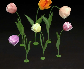 Modern Flowers And Grass-ID:316786053