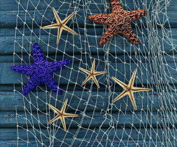 Modern Aquatic Animals-ID:235590939