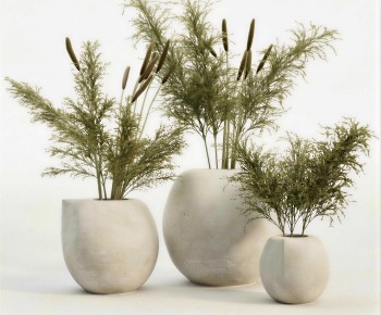 Wabi-sabi Style Ground Green Plant Potted Plants-ID:860220911