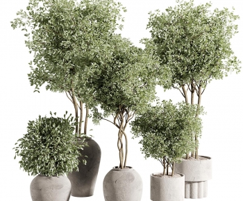 Modern Ground Green Plant Potted Plants-ID:984141113