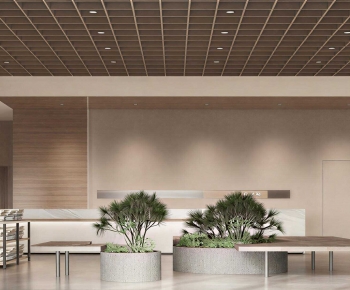 Modern Library-ID:598210102