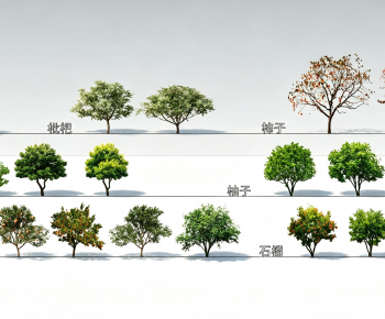 Modern Tree-ID:912626032