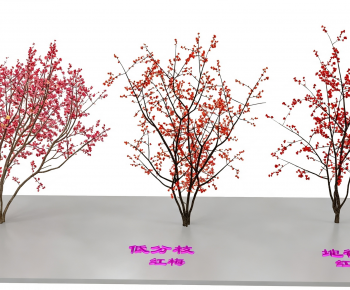 Modern Tree-ID:702369226