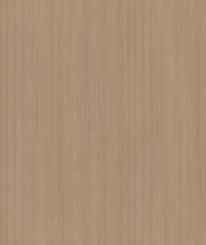 ModernWood Texture
