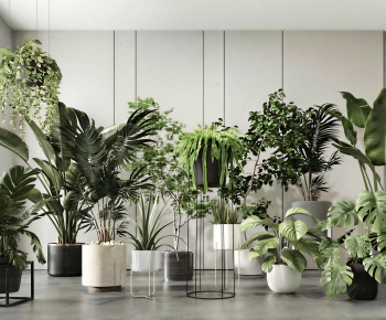 Modern Ground Green Plant Potted Plants-ID:778178931