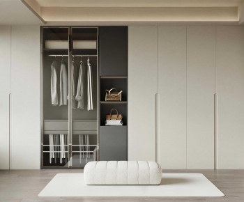 Modern Clothes Storage Area-ID:780213127