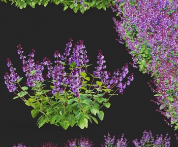 Modern Flowers And Grass-ID:332205067