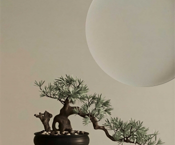 Wabi-sabi Style Bonsai-ID:716145994