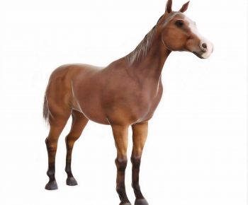 Modern Animal Horse-ID:799679845