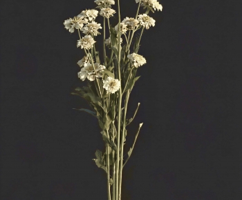 Modern Flowers And Grass-ID:667254926