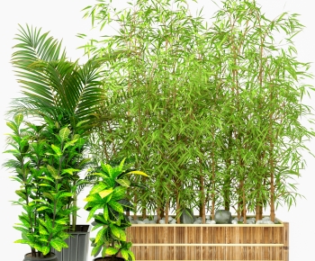Modern Ground Green Plant Potted Plants-ID:362205981