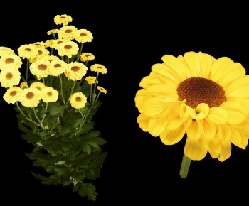 Modern Flowers And Grass-ID:900199895