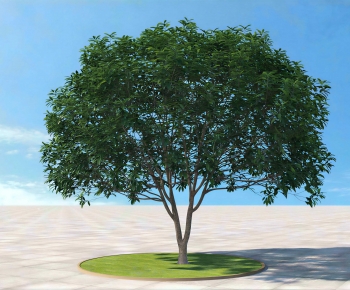 Modern Tree-ID:387595892
