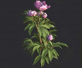 Modern Flowers And Grass-ID:272102128