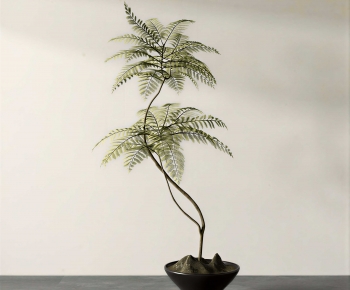Wabi-sabi Style Bonsai-ID:254556898