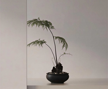 Wabi-sabi Style Bonsai-ID:213603978