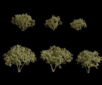 Modern Tree-ID:686008931