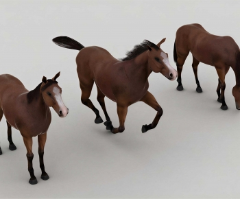 Modern Animal Horse-ID:451647048