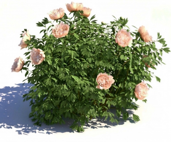 Modern Flowers And Grass-ID:184081089