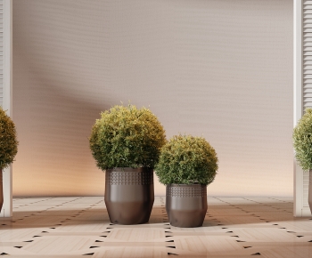 Modern Ground Green Plant Potted Plants-ID:620847944