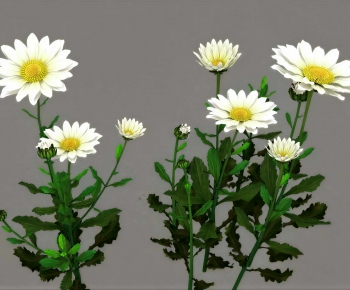 Modern Flowers And Grass-ID:178797965