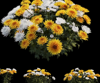 Modern Flowers And Grass-ID:667209686