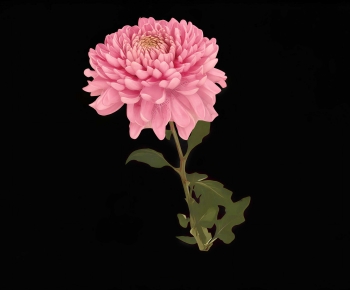 Modern Flowers And Grass-ID:944845915