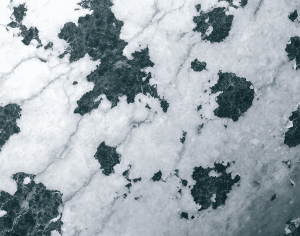 ModernMarble Tiles