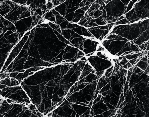 ModernMarble Tiles