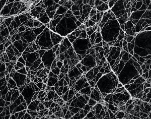 ModernMarble Tiles