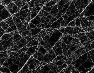 ModernMarble Tiles