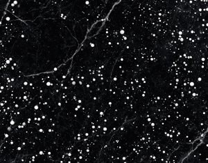 ModernMarble Tiles