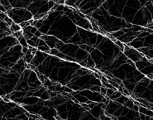 ModernMarble Tiles