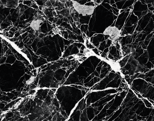 ModernMarble Tiles