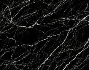 ModernMarble Tiles