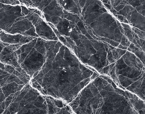 ModernMarble Tiles