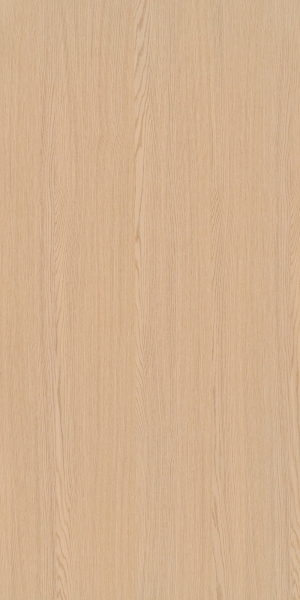 ModernWood Texture