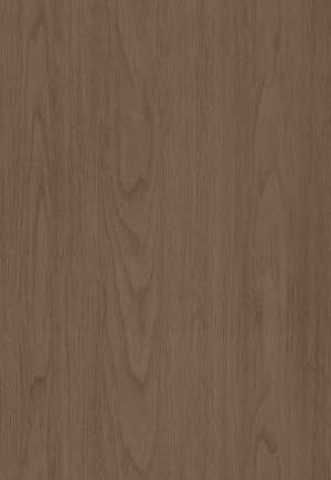ModernWood Texture