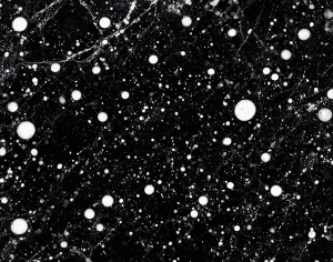ModernMarble Tiles