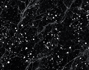 ModernMarble Tiles