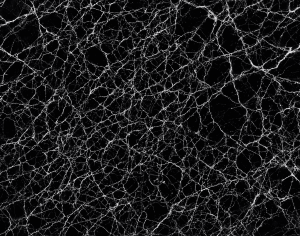 ModernMarble Tiles
