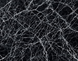 ModernMarble Tiles