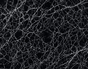 ModernMarble Tiles