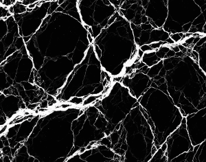 ModernMarble Tiles