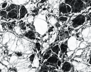 ModernMarble Tiles