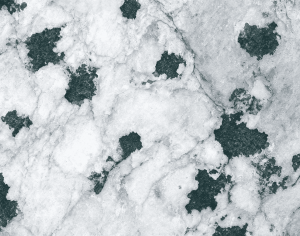 ModernMarble Tiles